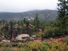 photo thumbnail #5