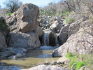 photo thumbnail #2