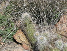 photo thumbnail #4