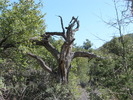 photo thumbnail #11