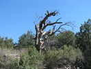 photo thumbnail #12