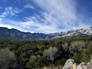 photo thumbnail #3