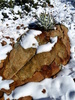 photo thumbnail #5