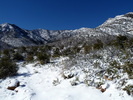 photo thumbnail #8
