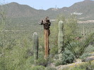 photo thumbnail #6