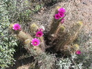 photo thumbnail #7