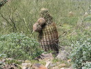 photo thumbnail #10