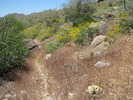 photo thumbnail #4