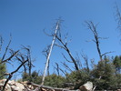 photo thumbnail #9