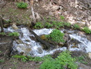 photo thumbnail #15