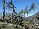 photo thumbnail #4