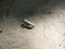 photo thumbnail #12