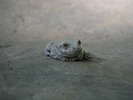 photo thumbnail #15