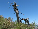 photo thumbnail #3