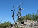 photo thumbnail #5