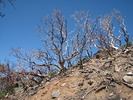 photo thumbnail #4
