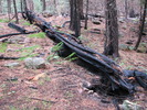 photo thumbnail #3