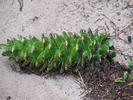 photo thumbnail #5