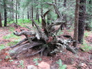 photo thumbnail #9