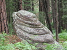 photo thumbnail #12