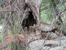 photo thumbnail #5