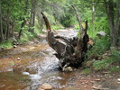 photo thumbnail #15