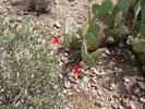 photo thumbnail #14