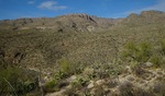 photo thumbnail #7