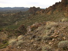 photo thumbnail #2