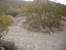 photo thumbnail #1
