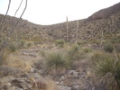 photo thumbnail #7