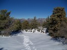 photo thumbnail #4