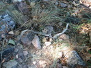 photo thumbnail #8