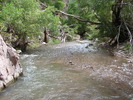 photo thumbnail #11