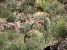 photo thumbnail #13