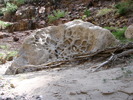 photo thumbnail #15