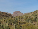 photo thumbnail #1