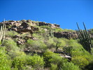 photo thumbnail #1