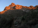 photo thumbnail #2
