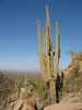 photo thumbnail #4