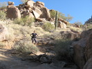 photo thumbnail #5