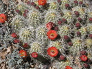 photo thumbnail #9