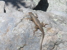 photo thumbnail #10