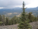 photo thumbnail #6
