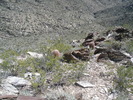 photo thumbnail #2