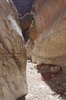 photo thumbnail #15