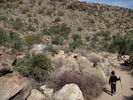 photo thumbnail #12
