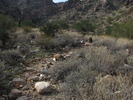 photo thumbnail #13