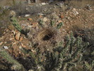 photo thumbnail #15