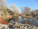 photo thumbnail #1